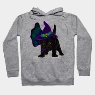 Halloween Kitten Dressed In Witch Costume Hoodie